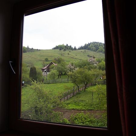 شقة Măgura  في Casa Hille المظهر الخارجي الصورة