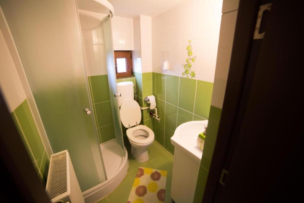 شقة Măgura  في Casa Hille المظهر الخارجي الصورة
