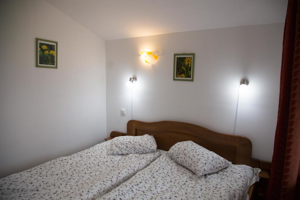 شقة Măgura  في Casa Hille المظهر الخارجي الصورة