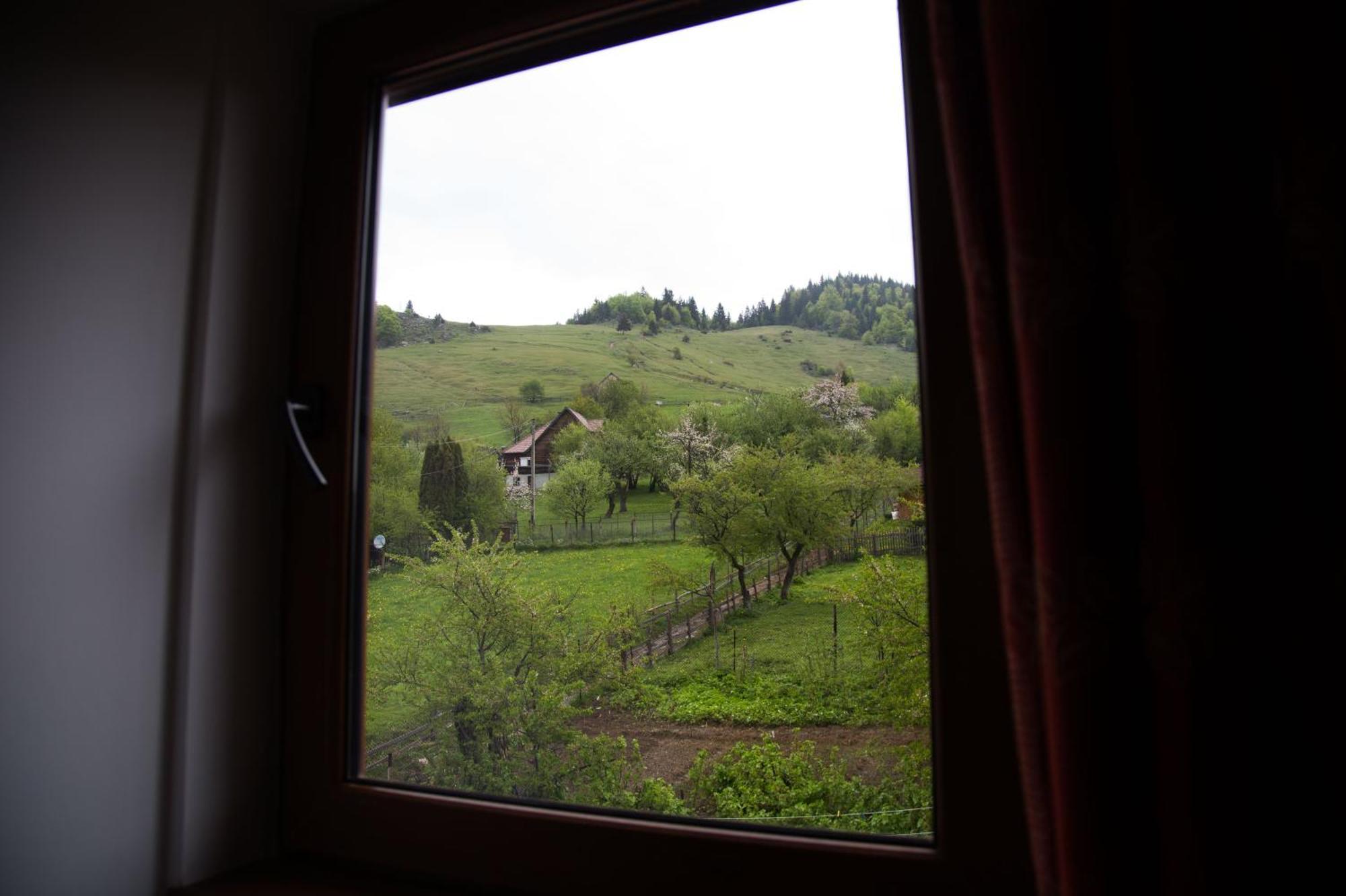 شقة Măgura  في Casa Hille المظهر الخارجي الصورة
