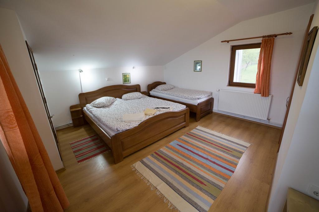 شقة Măgura  في Casa Hille المظهر الخارجي الصورة